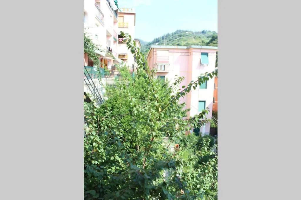 Ca Du Rocco - Citra 011019-Lt-0343 Apartment Monterosso al Mare